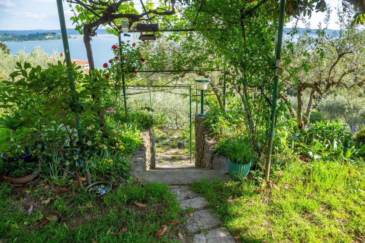 Apartment Cernetic Порторож Экстерьер фото